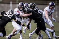 Milgate-2-Kramberger