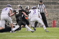 Milgate-Morawetz-Libohova