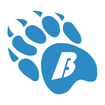 small 80 2019 graz styrian bears